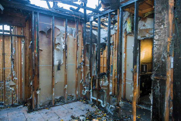 Professional Fire Damage Removal technician working in Naples, FL